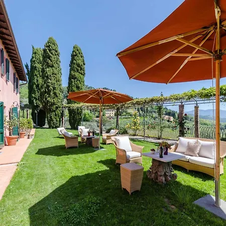 Wine Estate In Hills *